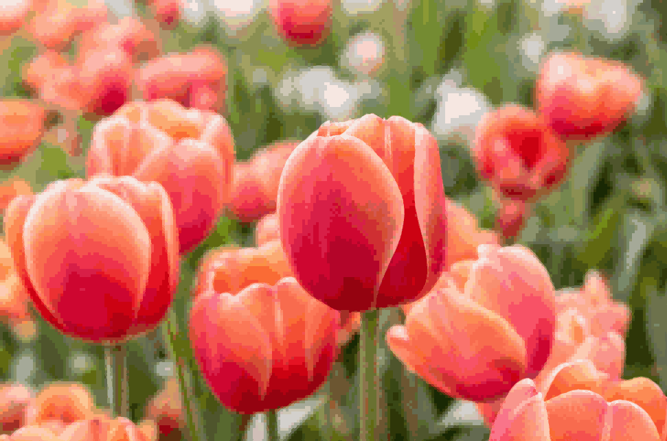 海关数据,NO钱包官网海关数据,荷兰海关数据